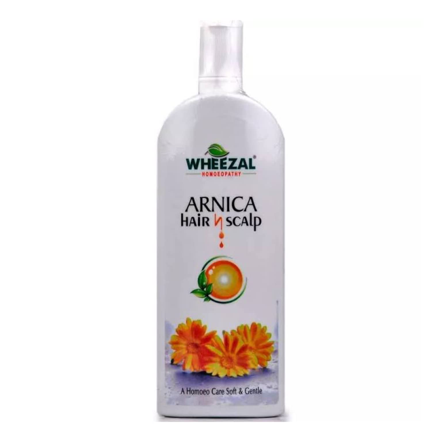 Wheezal Arnica Hair N Scalp Treatment Shampoo